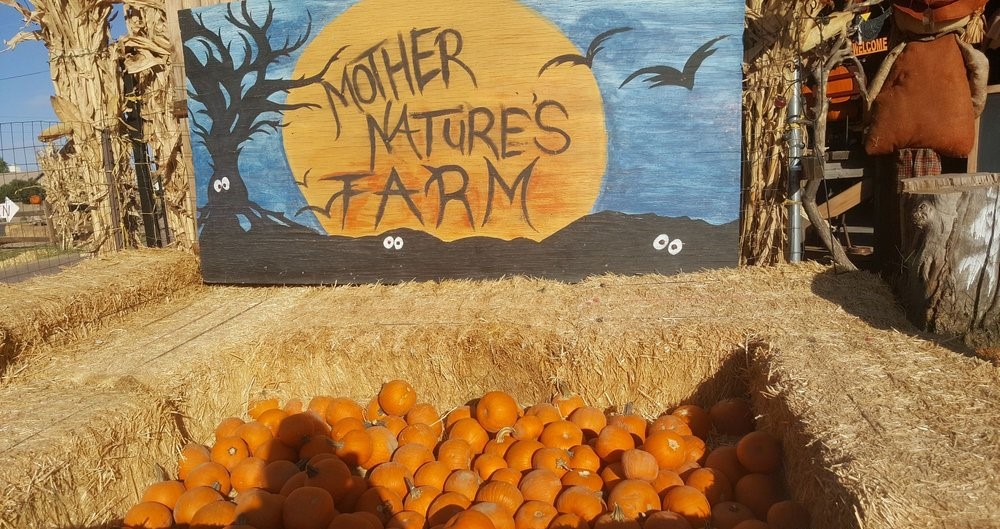 How to Celebrate Halloween in the Valley