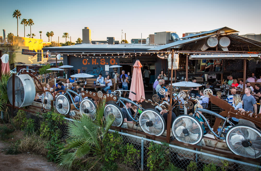 Dog Friendly Activities in Scottsdale